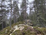 Hvitvannsåsen Hvitvannsåsen