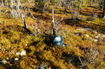 Bjønnåsen Bjønnåsen