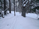 Sørøst for Kavlebrumyr Sørøst for Kavlebrumyr