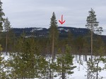 Vesteråsen Sørvest Vesteråsen Sørvest