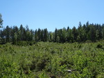 Skuggedalskollen Skuggedalskollen