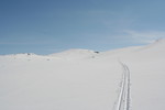 Kvernskardet Kvernskardet
