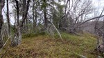 Hallkinnhøgde Hallkinnhøgde