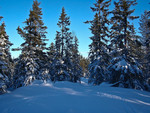 Glotjernskollen Glotjernskollen