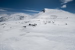 Steinkollen Steinkollen