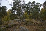 Skraperudtjernhaugen Skraperudtjernhaugen