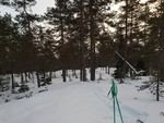Skutberget i Nittedal Skutberget i Nittedal