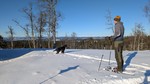 Øverbyhaugen Øverbyhaugen