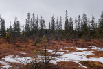 Kompåsen Nord Kompåsen Nord