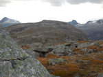 Mongejura Mongejura