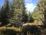 Myrtjernshøgda Myrtjernshøgda