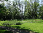 Hestehaugen Hestehaugen