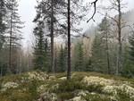 Bergmundåsen Bergmundåsen