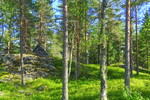 Krokstadkollen Krokstadkollen