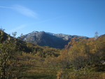 Gråheivarden Gråheivarden