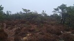 Brendåsen Brendåsen