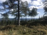 Skjennungsåsen Skjennungsåsen