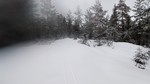 Kropptjerntoppen Kropptjerntoppen