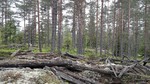 Finnberget Finnberget