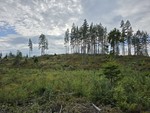Nedre Seteråsen Nedre Seteråsen