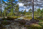 Hovlandsfjellet S1 Hovlandsfjellet S1