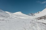 Kinnbeinet Kinnbeinet
