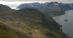Nesfjellet Nesfjellet