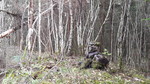 Brettengshaugen Brettengshaugen