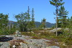 Håsomfjellet Håsomfjellet