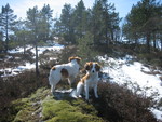 Snøyo Snøyo