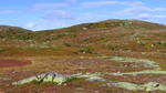 Vikerfjell Vikerfjell