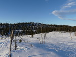 Østre Skardhaugen Østre Skardhaugen