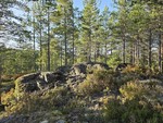Nord for Hyttevollen Nord for Hyttevollen