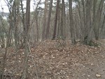 Dronningberget Dronningberget