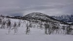 Åsknappen Åsknappen