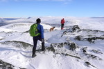 Gråhøa Nordøst for Gråhøa Nordøst for