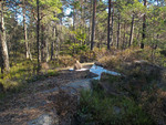 Knivsfjellet Knivsfjellet