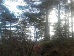 Furefjellet Furefjellet