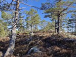 Hytteåsen Hytteåsen