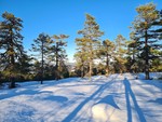 Ulvestuknatten Ulvestuknatten