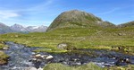 Middagshornet Middagshornet