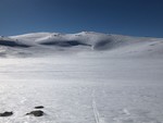 Øljuhalsane Øljuhalsane