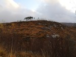 Haukheia Haukheia