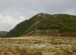 Ramnefjellet Ramnefjellet