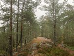 Taraldrudåsen Taraldrudåsen