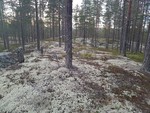 Nordhue Nordhue