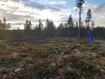 Korshøgda Korshøgda