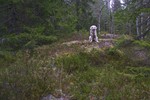 Bjørnåsen Bjørnåsen