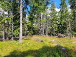 Ingeborgseteråsen Ingeborgseteråsen
