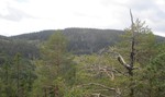 Kattuglehøgdi Kattuglehøgdi
